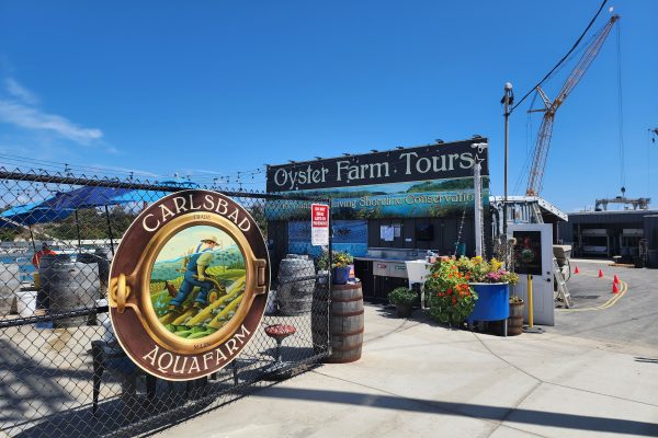 Adventure Recap | Carlsbad Aquafarm